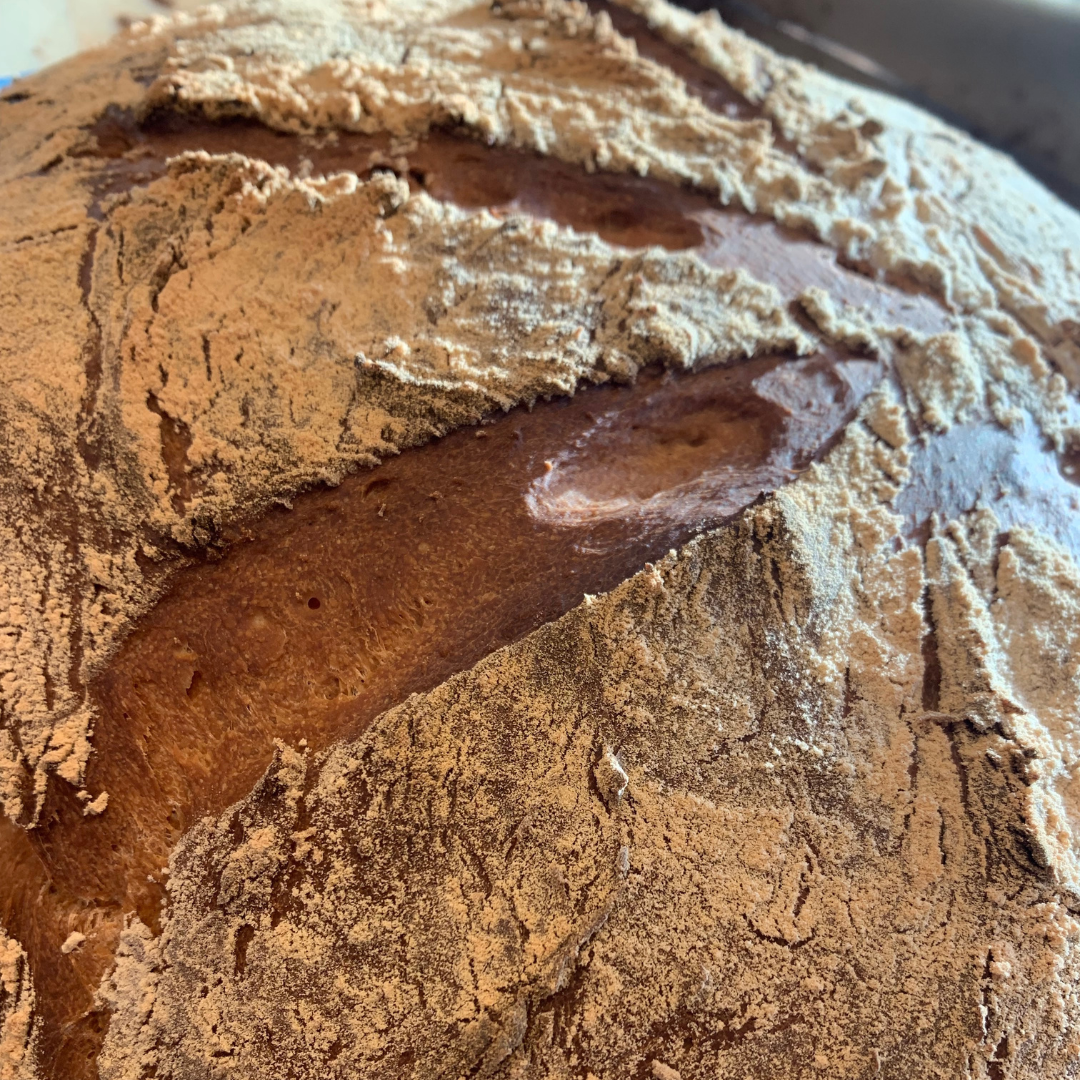 closeup picture of no-knead artisan bread